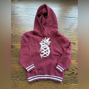 Binky Bro Pineapple Hoodie